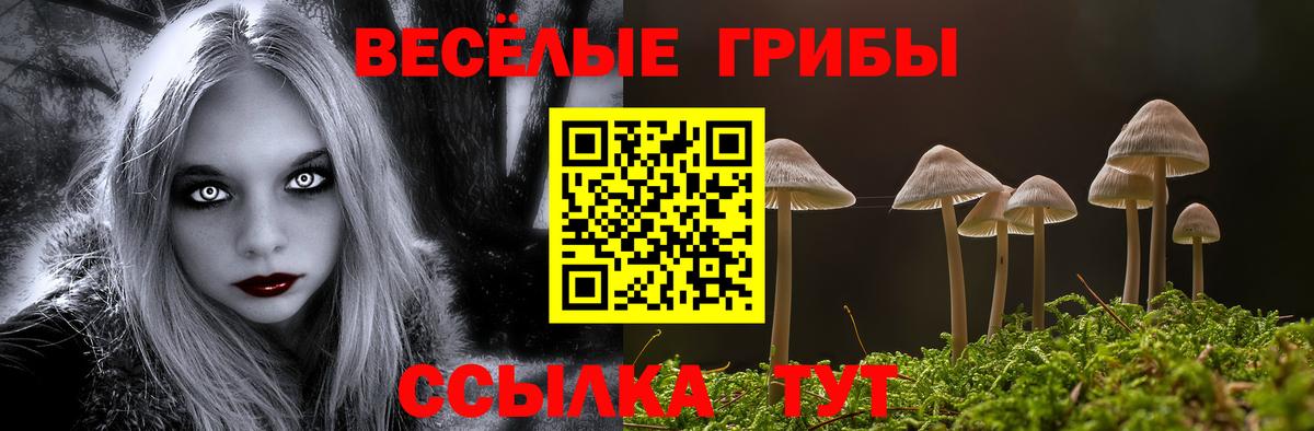 Галлюциногенные грибы прущие грибы  Вход с VPN  что такое   Среднеуральск  Псилоцибиновые грибы Magic Shrooms 